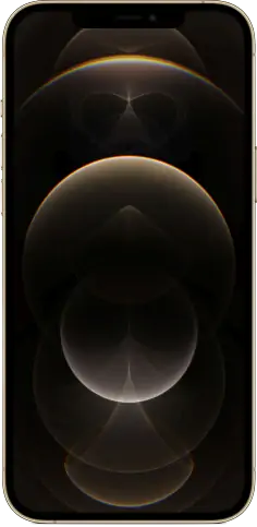 Ремонт iPhone 12 Pro Max 