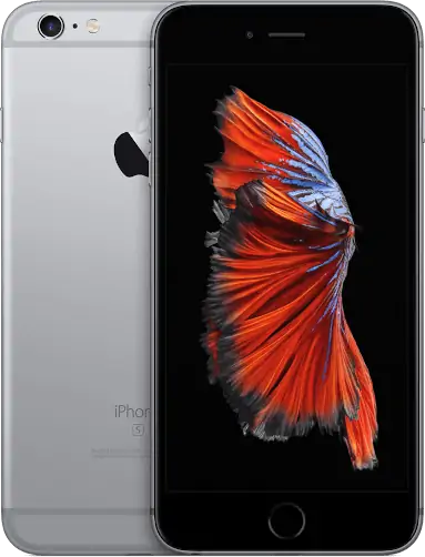 Ремонт iPhone  6 Plus